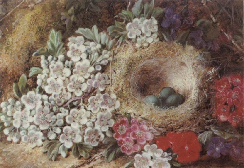 Clare George Bird-s Nest Still Life oil painting picture